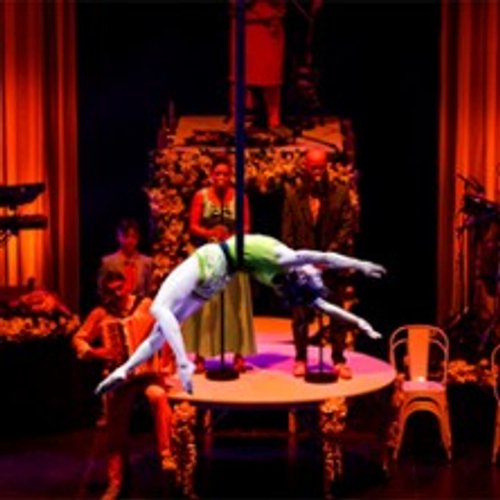 Cirque Alfonse - La Noce D'alfonse